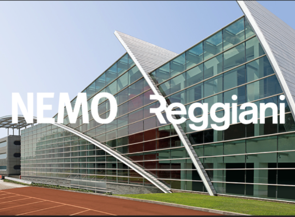 Read more about the article Nemo Lighting Takes Over Majority of Reggiani Illuminazione