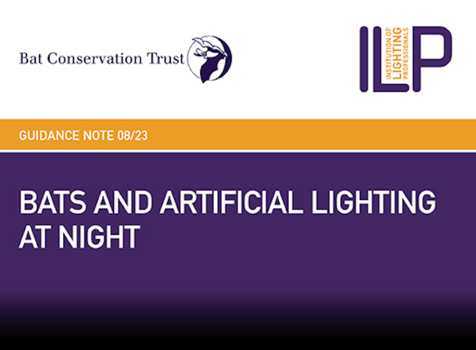 Read more about the article UK’s ILP Releases Guidance to Limit Impact of Lighting at Night on Bats