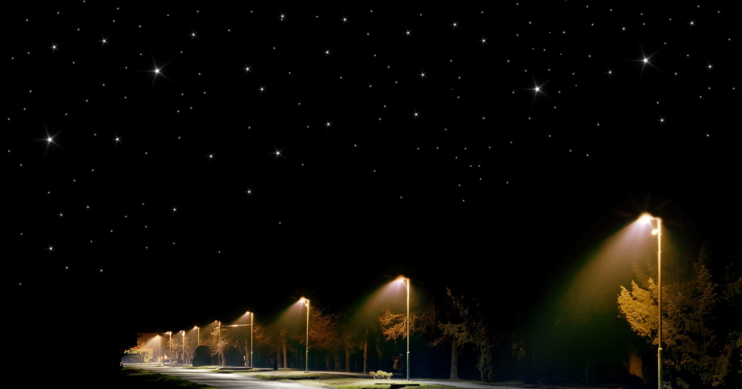 Read more about the article Forge Teams Up with Lumileds to Protect Dark Skies