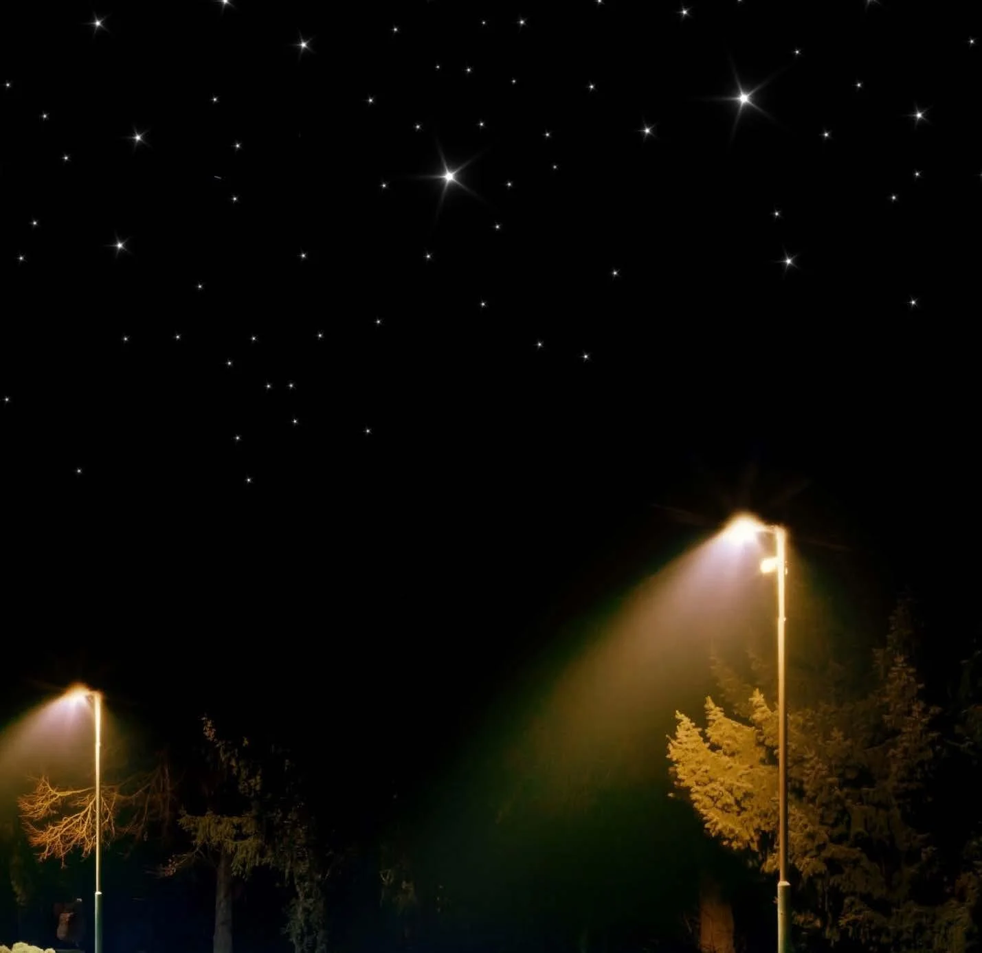 Read more about the article Tech’s Role in Delivering Dark Skies