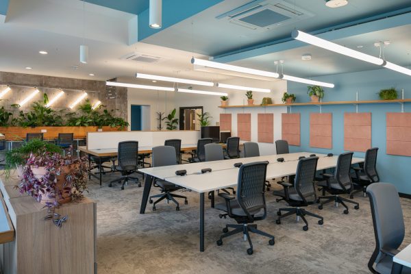 Light Forms Renold Building